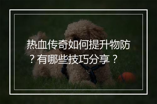 热血传奇如何提升物防？有哪些技巧分享？