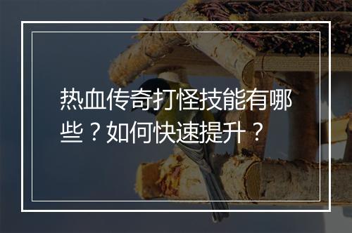热血传奇打怪技能有哪些？如何快速提升？