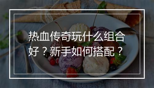 热血传奇玩什么组合好？新手如何搭配？