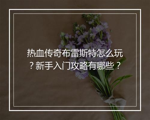热血传奇布雷斯特怎么玩？新手入门攻略有哪些？