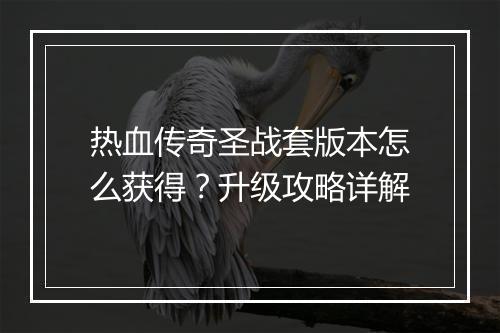 热血传奇圣战套版本怎么获得？升级攻略详解