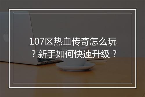 107区热血传奇怎么玩？新手如何快速升级？