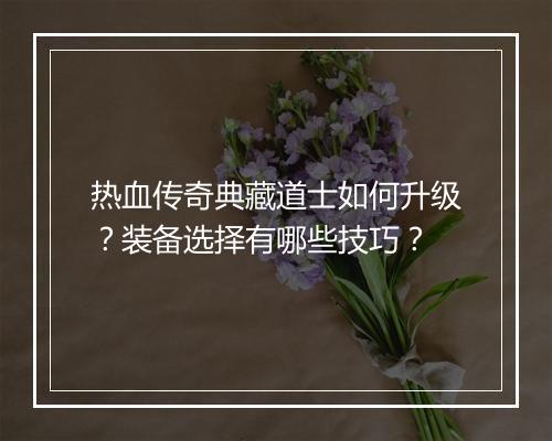 热血传奇典藏道士如何升级？装备选择有哪些技巧？