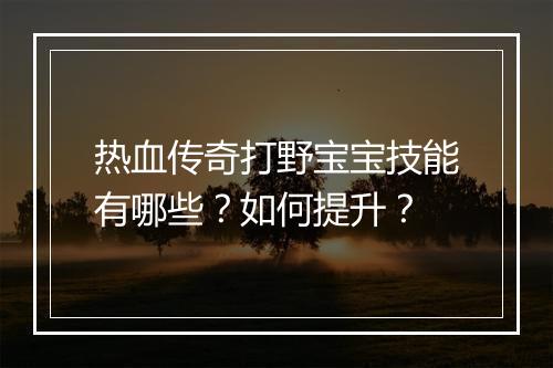 热血传奇打野宝宝技能有哪些？如何提升？