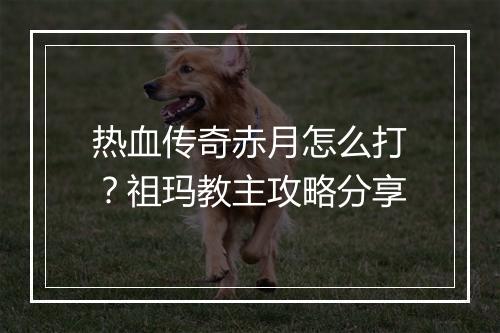 热血传奇赤月怎么打？祖玛教主攻略分享