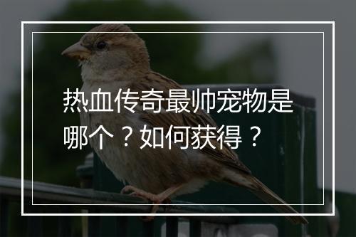 热血传奇最帅宠物是哪个？如何获得？