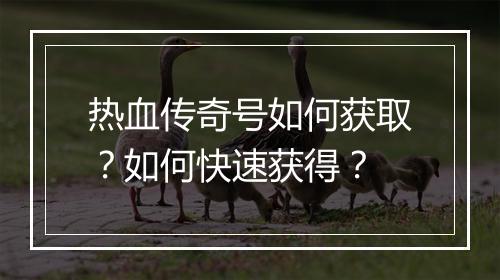 热血传奇号如何获取？如何快速获得？