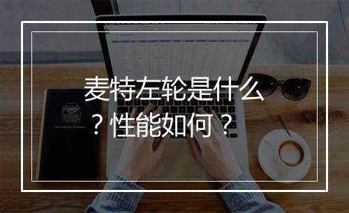 麦特左轮是什么？性能如何？