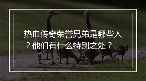 热血传奇荣誉兄弟是哪些人？他们有什么特别之处？