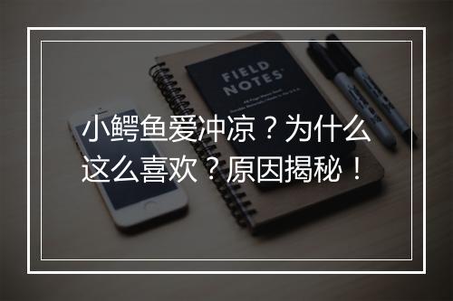 小鳄鱼爱冲凉？为什么这么喜欢？原因揭秘！