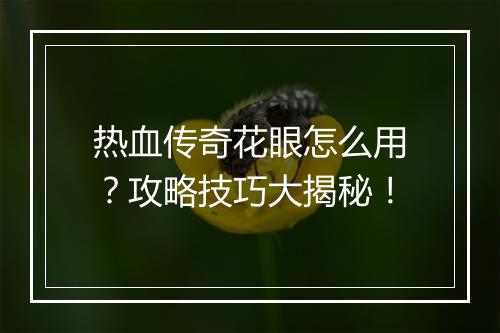 热血传奇花眼怎么用？攻略技巧大揭秘！