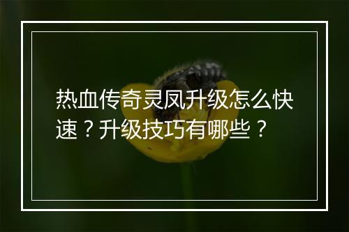 热血传奇灵凤升级怎么快速？升级技巧有哪些？