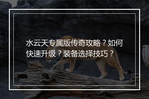 水云天专属版传奇攻略？如何快速升级？装备选择技巧？