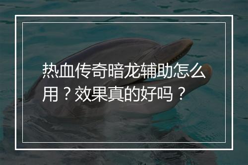 热血传奇暗龙辅助怎么用？效果真的好吗？