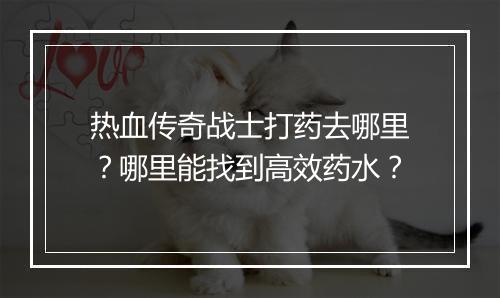 热血传奇战士打药去哪里？哪里能找到高效药水？