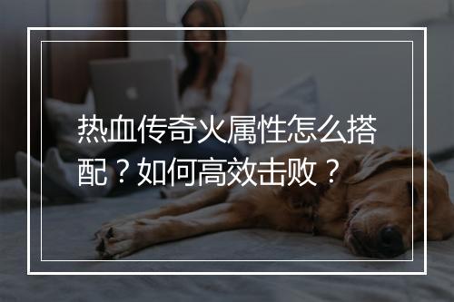 热血传奇火属性怎么搭配？如何高效击败？