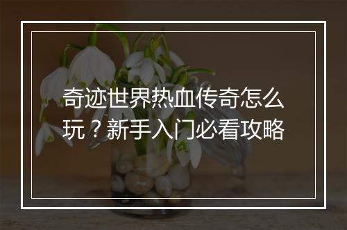 奇迹世界热血传奇怎么玩？新手入门必看攻略
