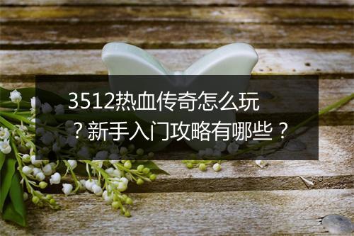 3512热血传奇怎么玩？新手入门攻略有哪些？