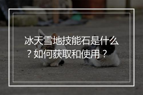 冰天雪地技能石是什么？如何获取和使用？