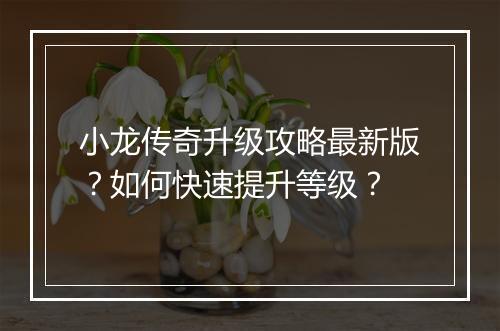 小龙传奇升级攻略最新版？如何快速提升等级？