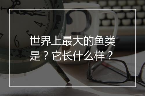 世界上最大的鱼类是？它长什么样？