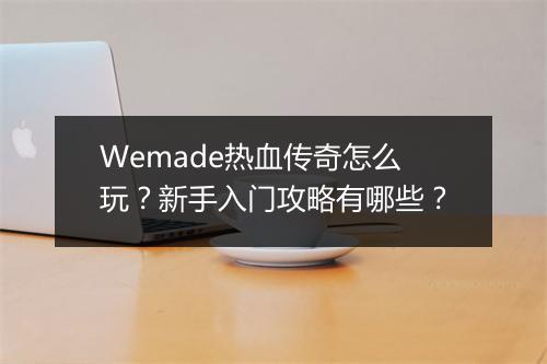 Wemade热血传奇怎么玩？新手入门攻略有哪些？