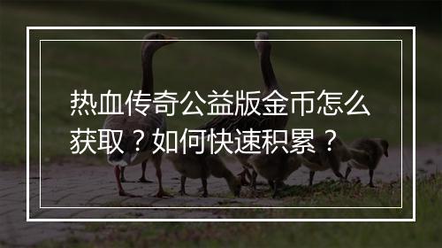 热血传奇公益版金币怎么获取？如何快速积累？