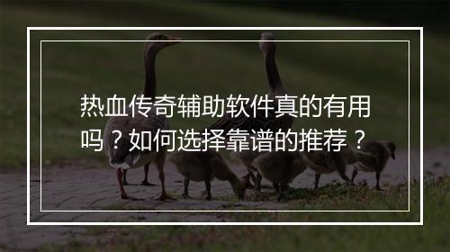 热血传奇辅助软件真的有用吗？如何选择靠谱的推荐？
