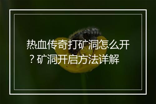 热血传奇打矿洞怎么开？矿洞开启方法详解