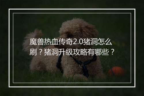 魔兽热血传奇2.0猪洞怎么刷？猪洞升级攻略有哪些？