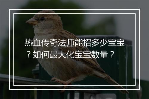 热血传奇法师能招多少宝宝？如何最大化宝宝数量？