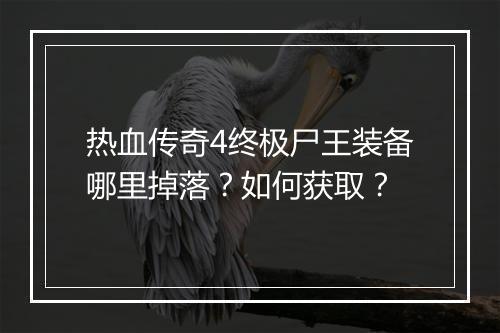 热血传奇4终极尸王装备哪里掉落？如何获取？
