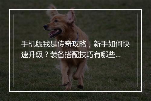 手机版我是传奇攻略，新手如何快速升级？装备搭配技巧有哪些？