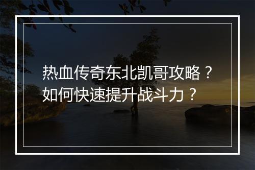 热血传奇东北凯哥攻略？如何快速提升战斗力？