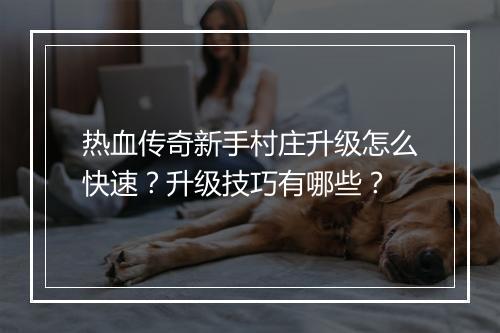 热血传奇新手村庄升级怎么快速？升级技巧有哪些？