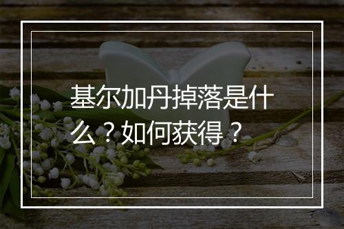 基尔加丹掉落是什么？如何获得？