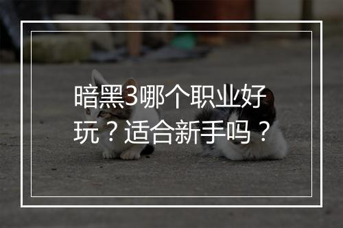 暗黑3哪个职业好玩？适合新手吗？