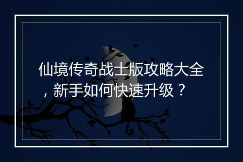 仙境传奇战士版攻略大全，新手如何快速升级？