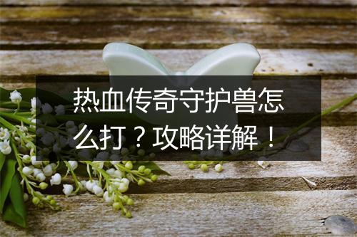 热血传奇守护兽怎么打？攻略详解！