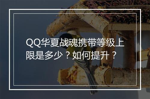 QQ华夏战魂携带等级上限是多少？如何提升？