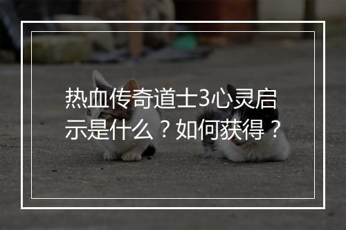 热血传奇道士3心灵启示是什么？如何获得？