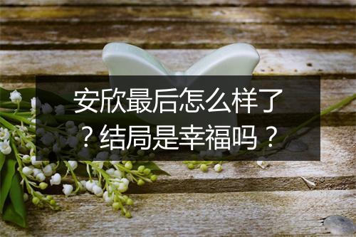 安欣最后怎么样了？结局是幸福吗？