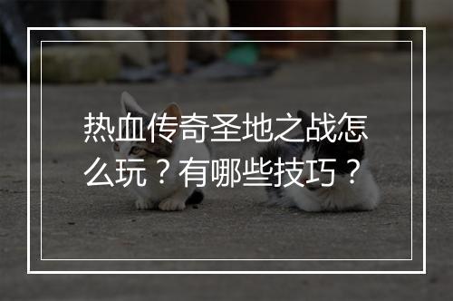 热血传奇圣地之战怎么玩？有哪些技巧？