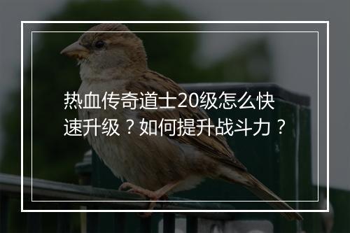 热血传奇道士20级怎么快速升级？如何提升战斗力？