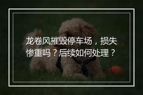 龙卷风摧毁停车场，损失惨重吗？后续如何处理？