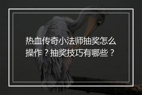 热血传奇小法师抽奖怎么操作？抽奖技巧有哪些？