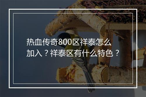 热血传奇800区祥泰怎么加入？祥泰区有什么特色？
