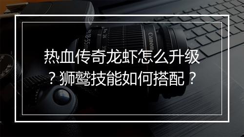 热血传奇龙虾怎么升级？狮鹫技能如何搭配？