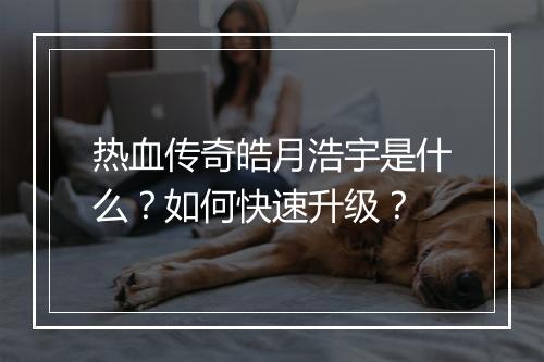 热血传奇皓月浩宇是什么？如何快速升级？