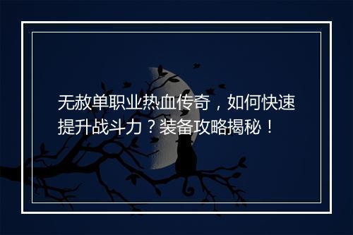 无赦单职业热血传奇，如何快速提升战斗力？装备攻略揭秘！